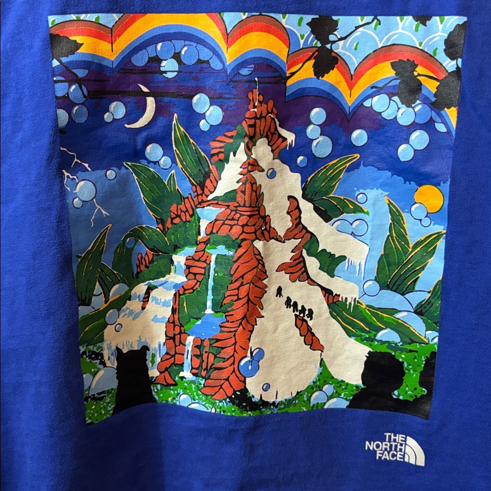 The North Face Kids Blue Short-Sleeve Graphic Tee - Picture 3 of 7